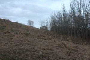 My house from the creek-bed below it.